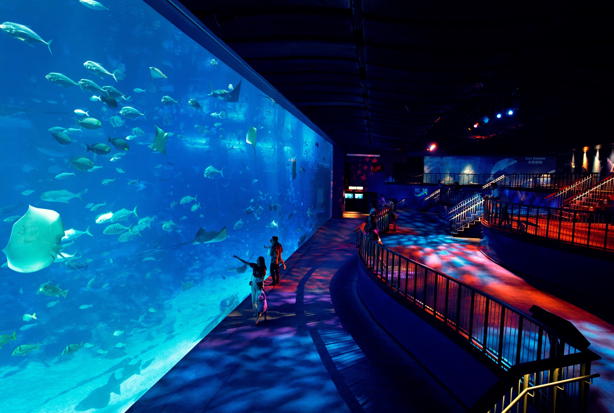 (Work Hard, Play Lavishly) 11 Must-Try Luxury Team Outings in Singapore : S.E.A. Aquarium