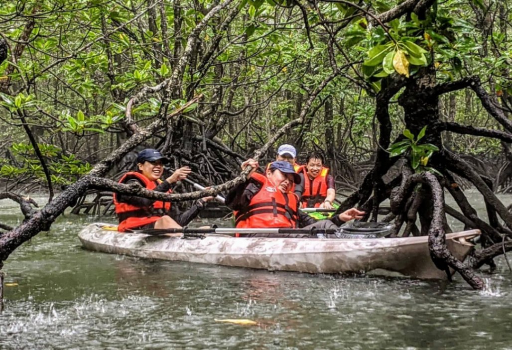 Team Building Activities From All Malaysian States: Xtreme Langkawi Mangrove Kayak