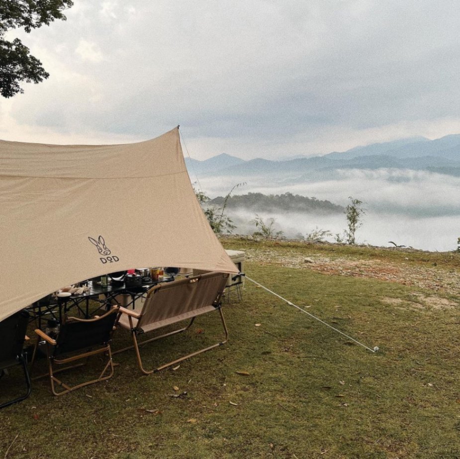 11 Campsites Tailored to Foster Team Building Triumphs in Malaysia: Willow Tree Campsite