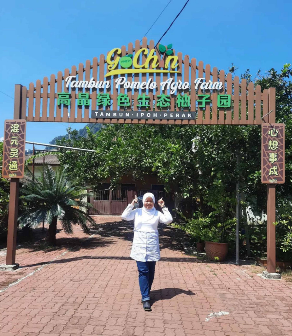 (3D2N) The Best 3 Days 2 Nights Ipoh Itinerary for Nature Lovers: Tour Around the Pomelo Farm