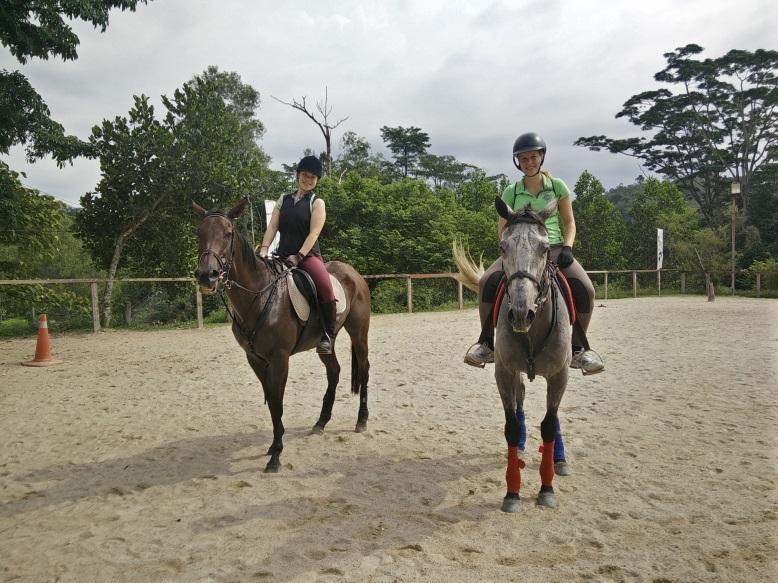(Top 12 Recommendation) Where to Go for Adventurous Activities in KL & Selangor?: Gombak Horse Riding Club