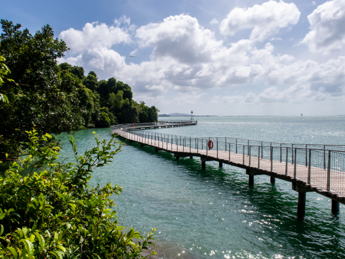 Thrifty Travels: 15 Budget-Friendly Company Outing Ideas in Singapore -  Pulau Ubin