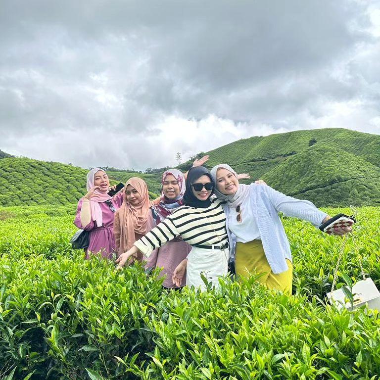Top 9 Retreat Spots in Malaysia for a Unique Company Christmas: Cameron Highlands