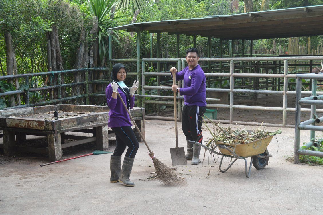 Team Bonding in the Heart of KL: Explore 10 Thrilling Outdoor Activities - Zoo Negara