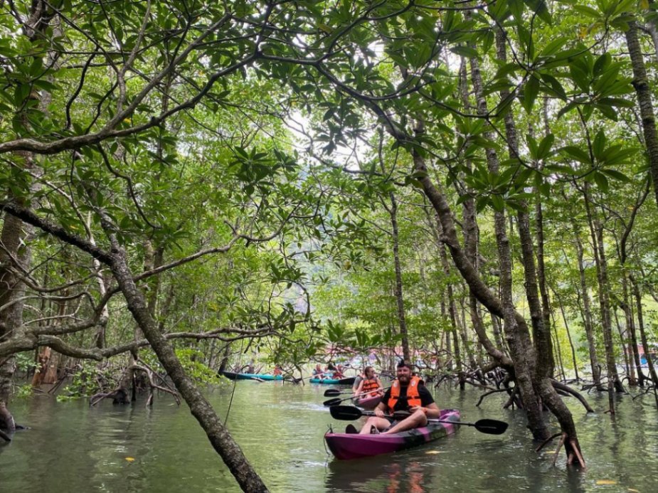 9 Islands for Corporate Retreats: Mangrove Kayak