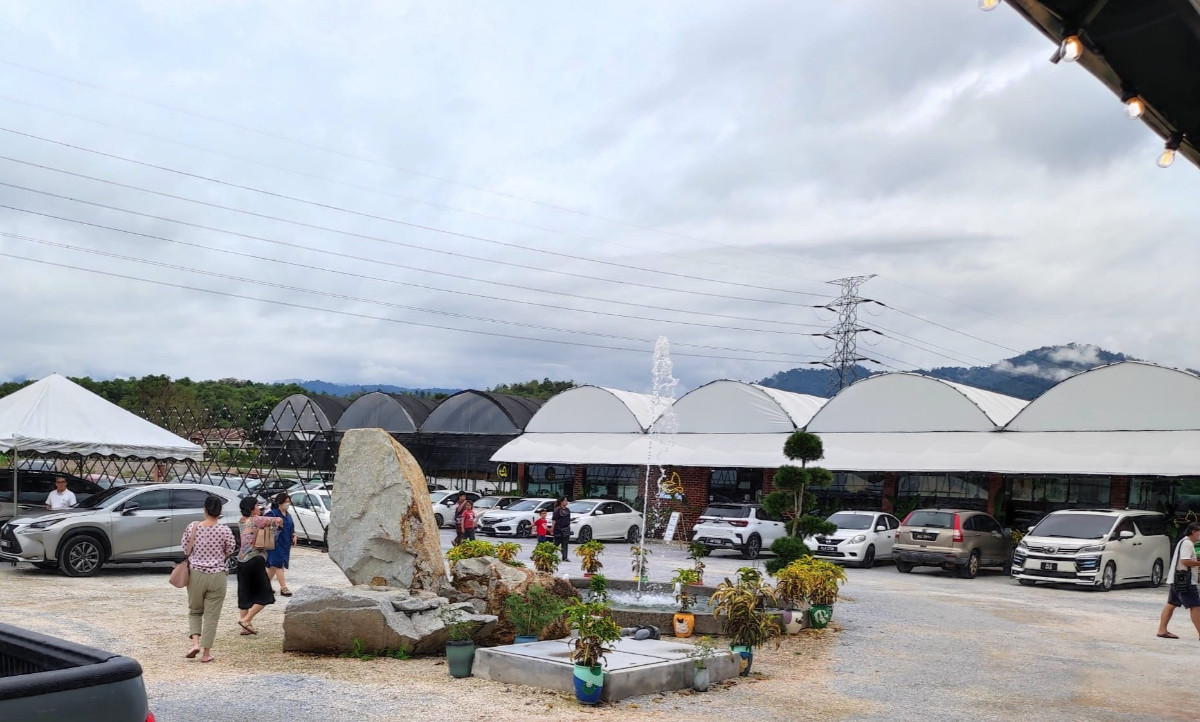 (Ipoh) The Best 2 Days 1 Night Team Building Itinerary for Nature Lovers: Meow Garden Ipoh