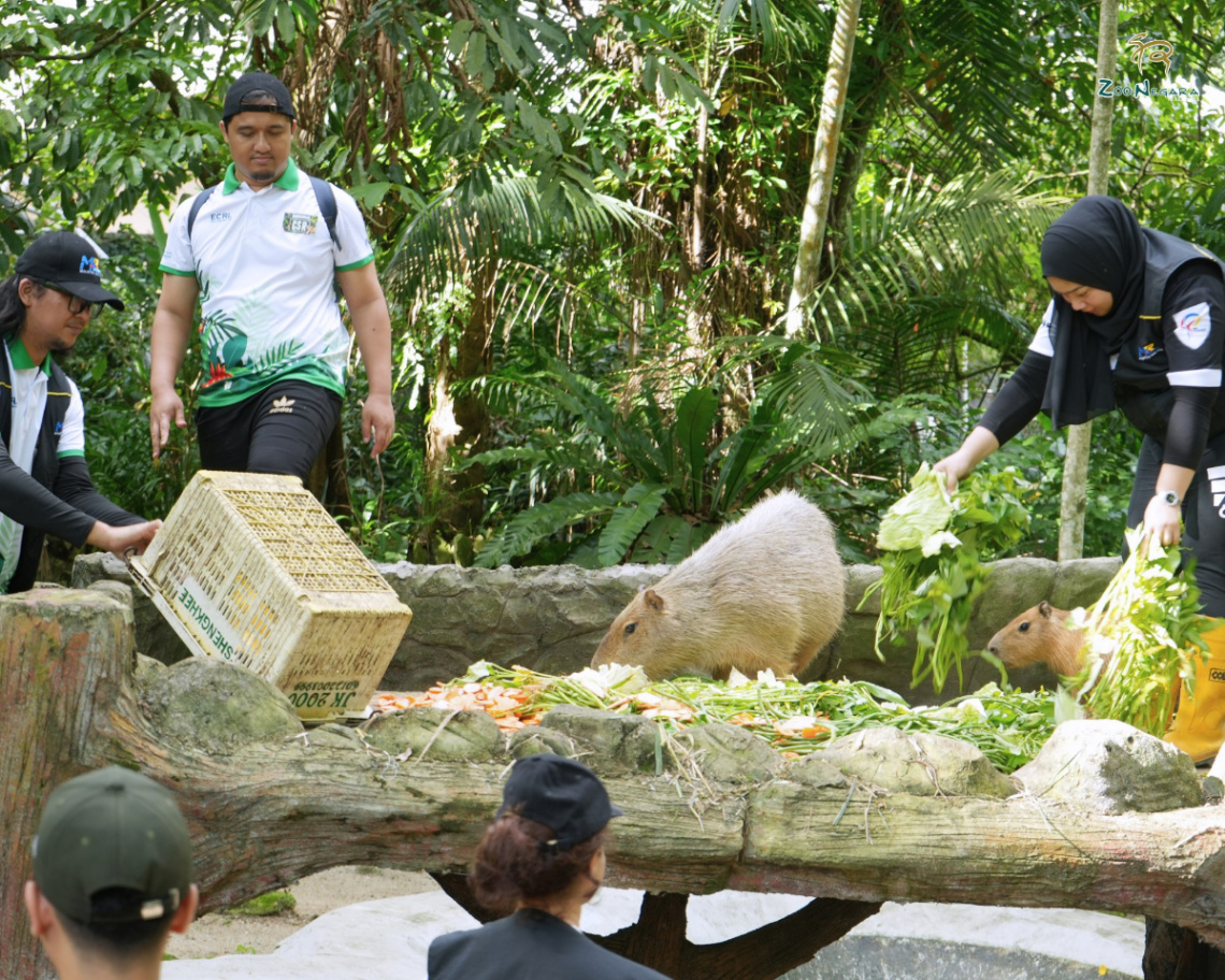 5 Most Impactful CSR Activities To Supercharge Your Corporate Retreat - Zoo Negara