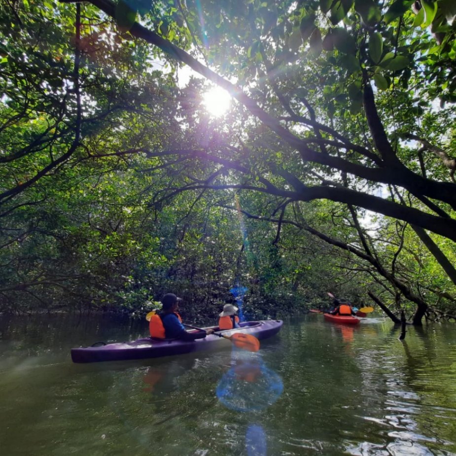 (15 Places) Unravel the Beauty of Kayaking Hotspots in Malaysia: Bagan Lalang, Sepang