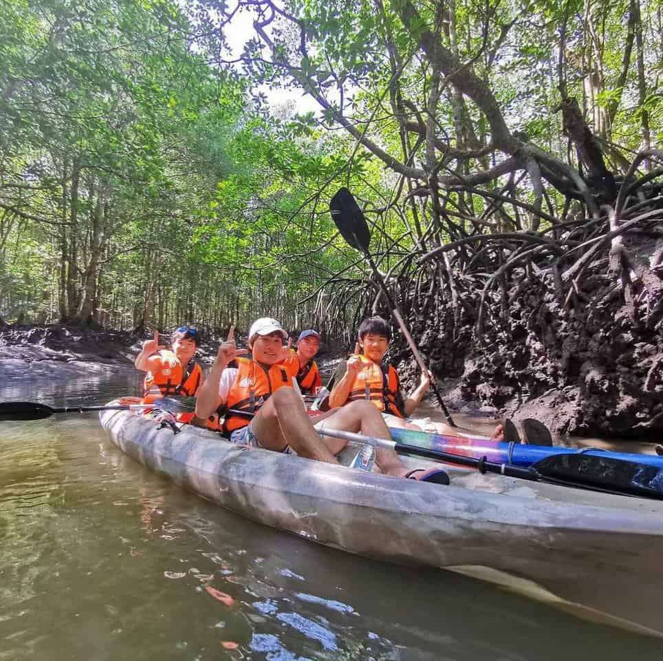 (3D2N) A Complete Langkawi Itinerary for Team Building: mangrove kayaking