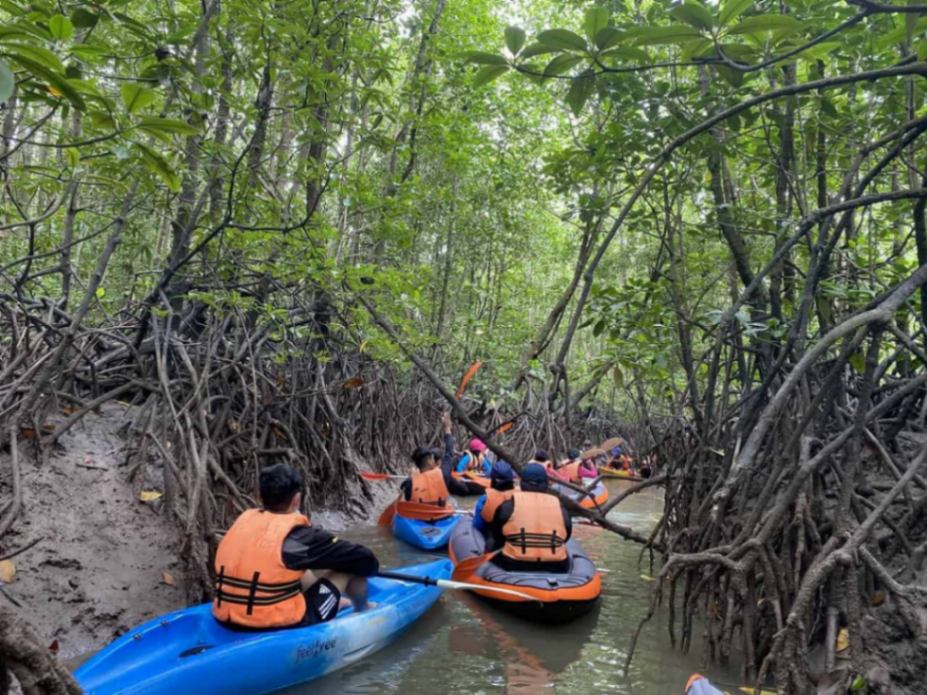 (Top 12 Recommendation) Where to Go for Adventurous Activities in KL & Selangor?: Outdoorgate Sepang Mangrove River Kayaking